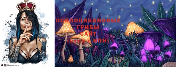 эйфоретик Аркадак